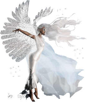  CADÊ MEU ANJO Nº 13? 