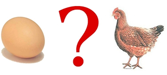 ovo galinha