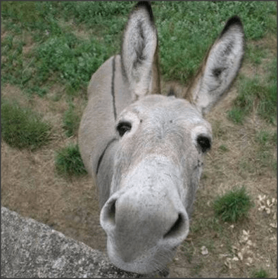 Snap 2014-08-03 at 16.44.11